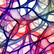 Faircraft’s Lab-Grown Leather Promises 95% Less Waste for Luxury Brands