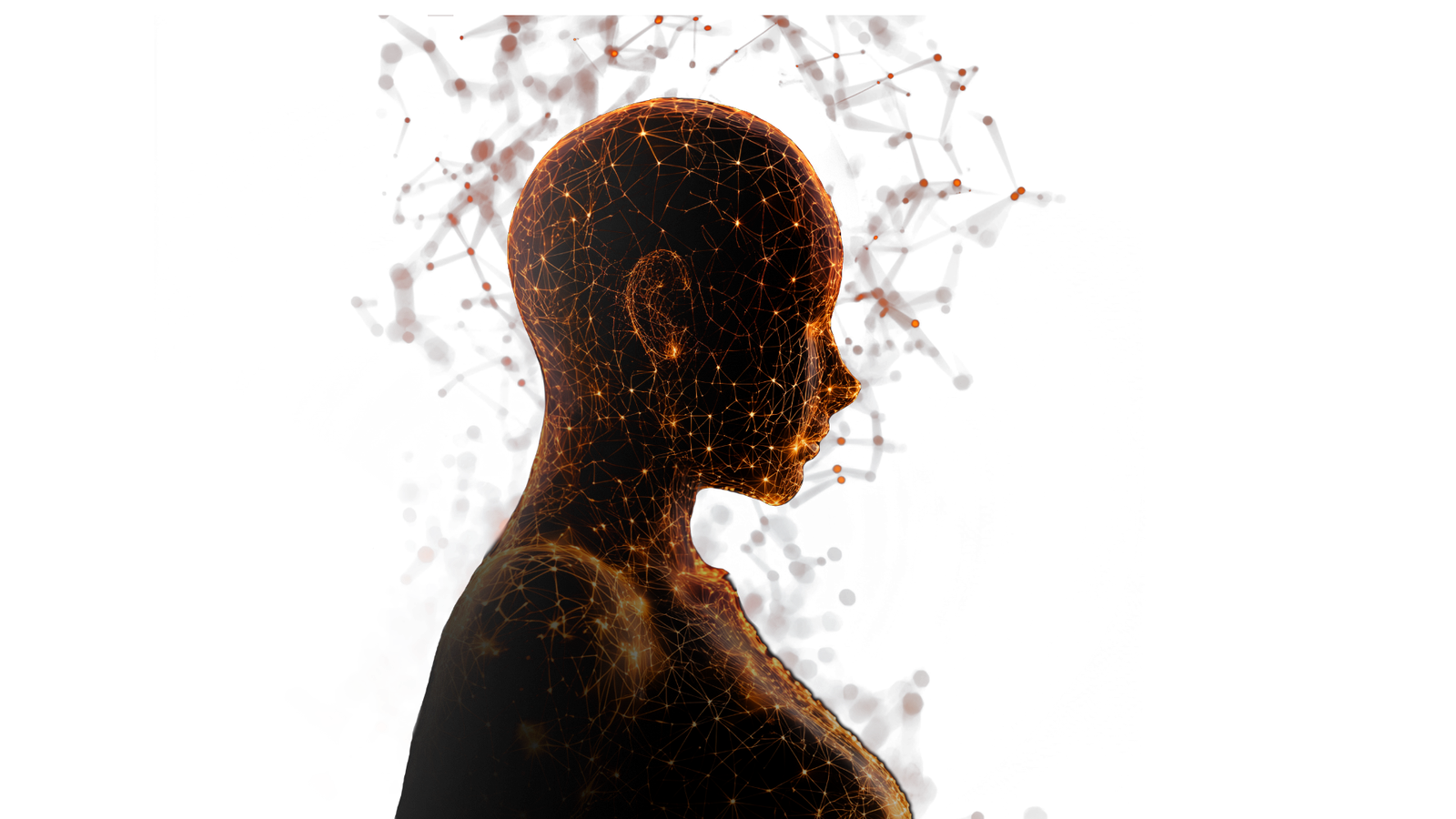 Alvanon Saves Fashion Industry $150 Billion by Tackling 53% of Returns Due to Poor Fit