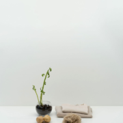 Fibe Turns Potato Waste into Fashion's Future