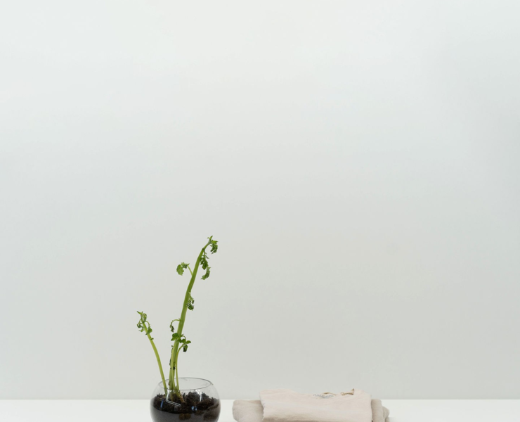 Fibe Turns Potato Waste into Fashion's Future