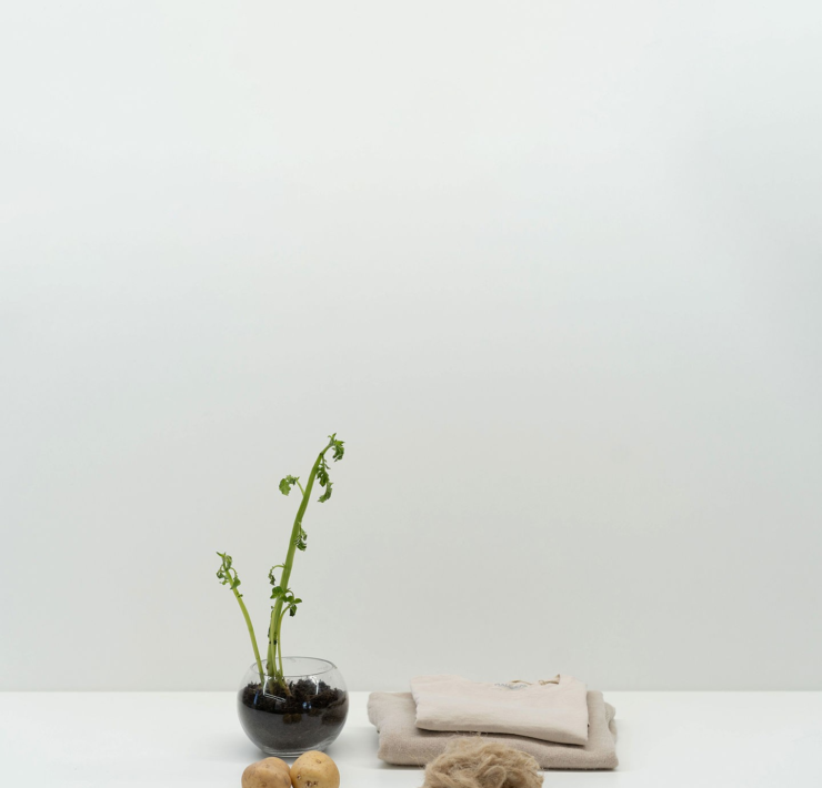 Fibe Turns Potato Waste into Fashion's Future