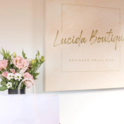 How Lucida Boutique Works, Ownership, Benefits for Consumers, Applications for Sellers, Future Outlook