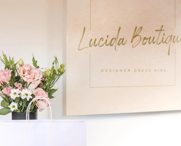 How Lucida Boutique Works, Ownership, Benefits for Consumers, Applications for Sellers, Future Outlook